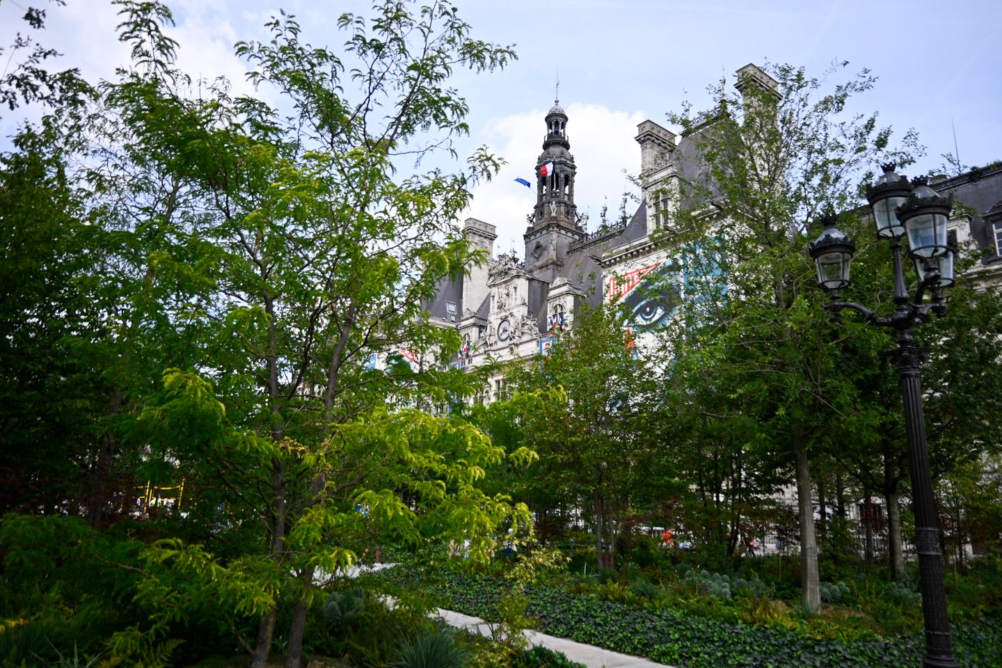 Urban forests spread their cover in a time of climate change