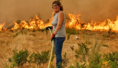 Spain, Portugal, and Greece battle wildfires as heatwave is expected to last for days