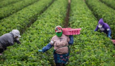 Trump's tariffs and deportations are contributing to rising prices, fewer immigrant workers