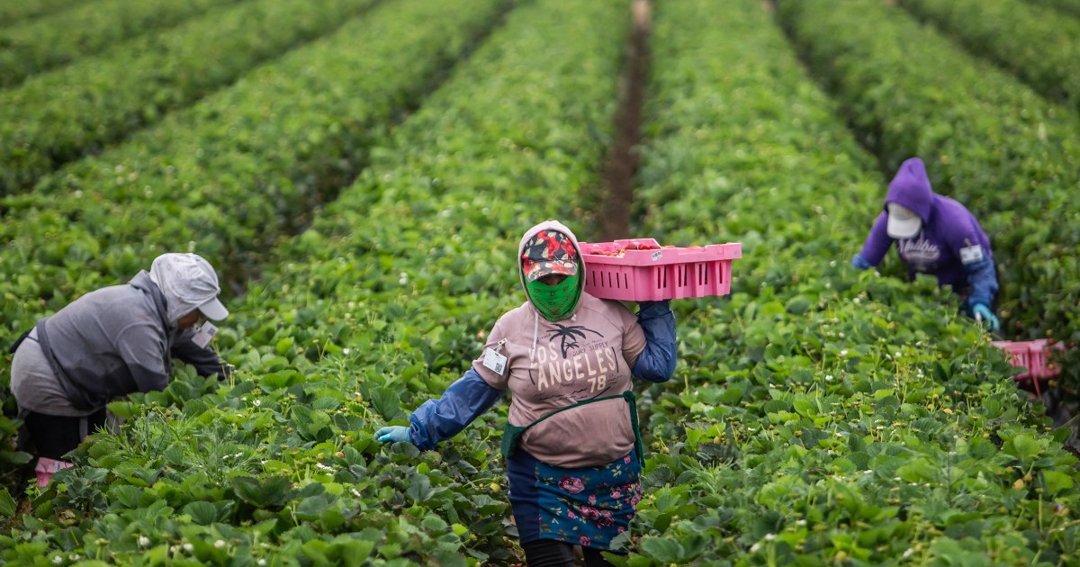 Trump's tariffs and deportations are contributing to rising prices, fewer immigrant workers