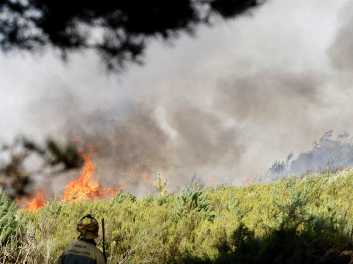 Incendies: l'Espagne se consume dans le nord-ouest et l'ouest