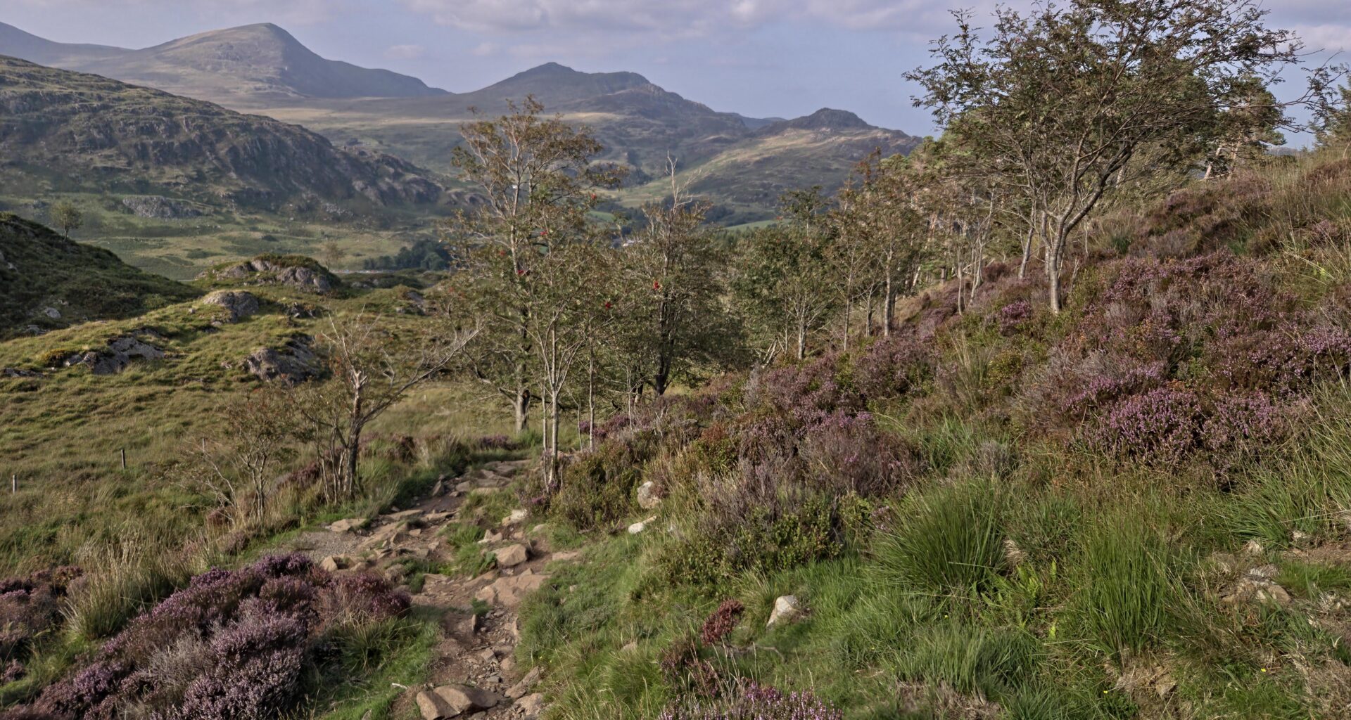 Picture I took at Moel Siabod