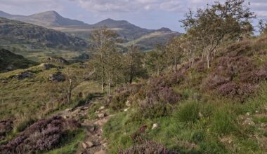 Picture I took at Moel Siabod