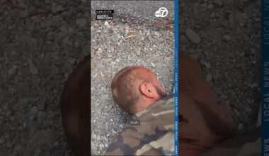 Local takes down suspected arsonist in Northern California