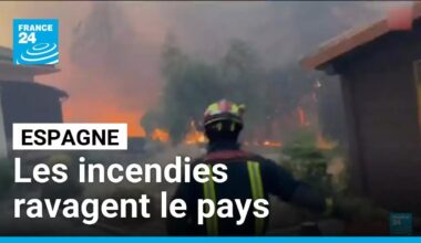 Un mort dans l'un des nombreux incendies de forêt qui ravagent l'Espagne • FRANCE 24