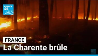 Charente : un incendie détruit plus de 230 hectares de végétation • FRANCE 24