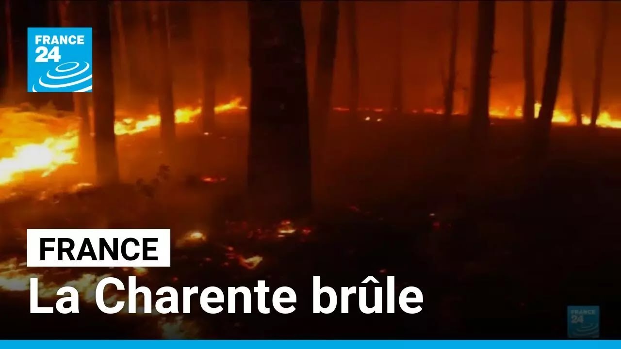 Charente : un incendie détruit plus de 230 hectares de végétation • FRANCE 24