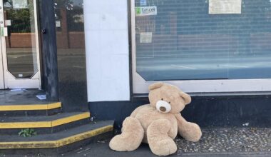 Things really went downhill after “ted”