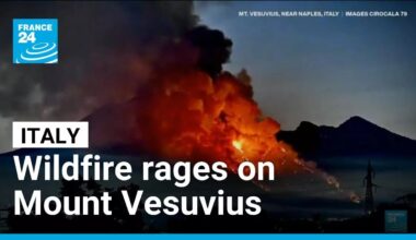 Italy's Mount Vesuvius closed to tourists as wildfire rages • FRANCE 24 English