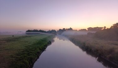 The Fens this morning