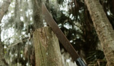 Indian man who almost lost his hand in brutal machete attack granted 2-year visa extension in Australia | Trending