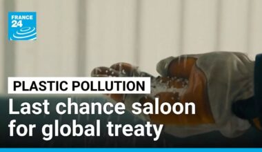 Last chance saloon for global plastic pollution treaty • FRANCE 24 English