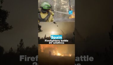 #Spain: Firefighters battle 20 wildfires • FRANCE 24 English