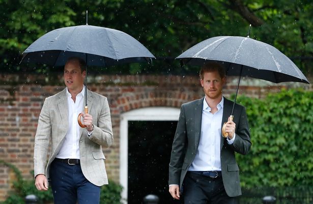 harry and william