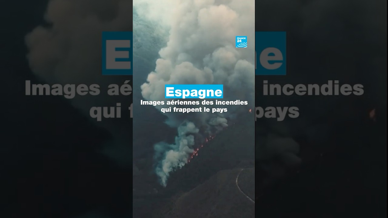 Espagne : images aériennes des incendies qui frappent le centre-ouest du pays • FRANCE 24