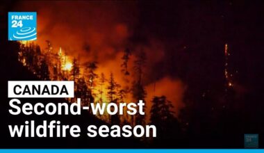Canada sees second-worst wildfire season • FRANCE 24 English
