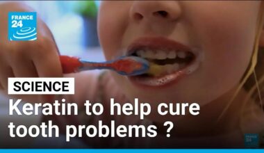 Could keratin help heal tooth problems? • FRANCE 24 English
