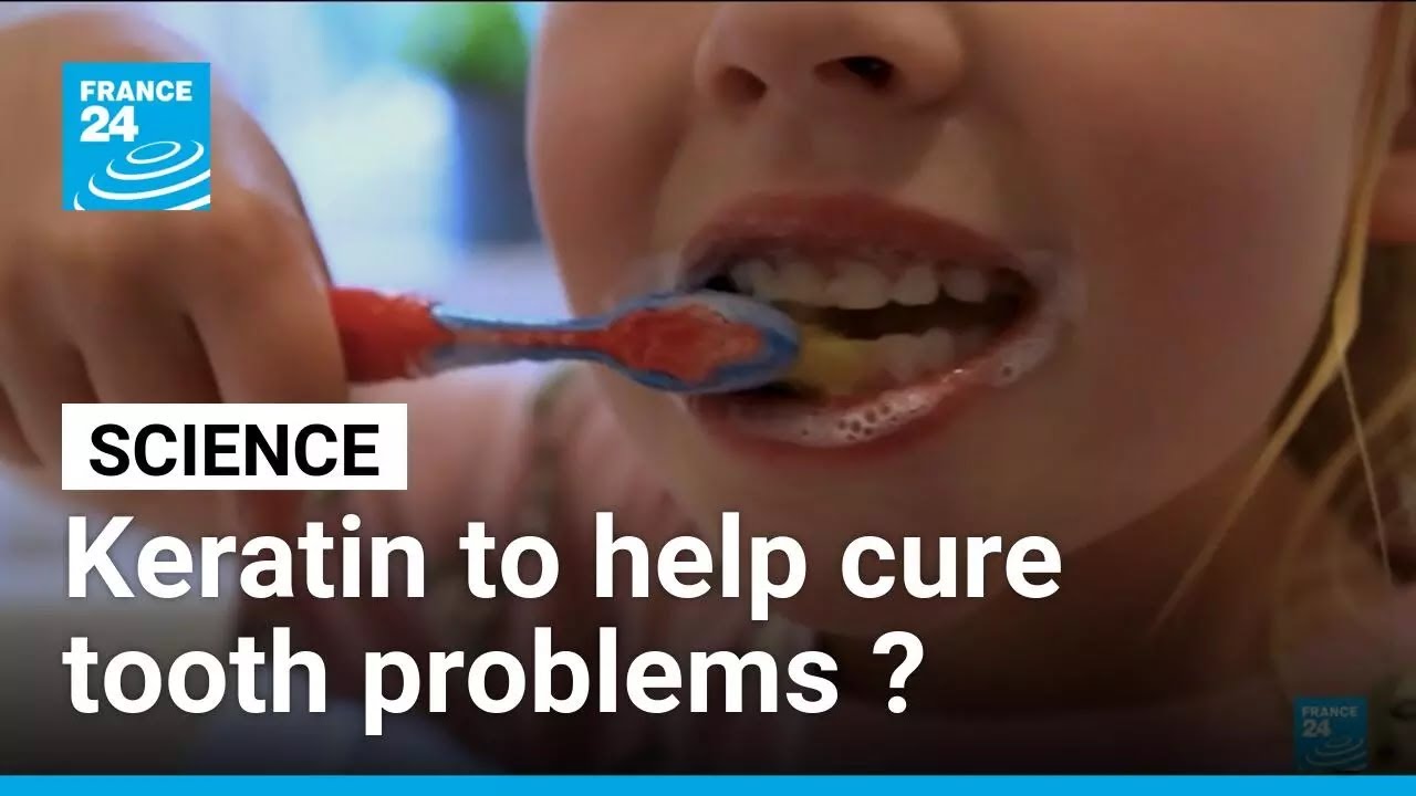 Could keratin help heal tooth problems? • FRANCE 24 English