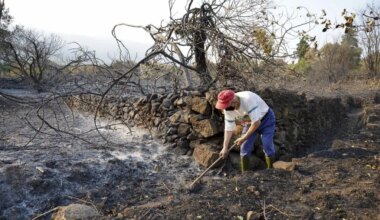 Incendios graves hoy en España, última hora en directo | El fuego que amenazó los Picos de Europa sigue muy activo y con mucho perímetro por controlar