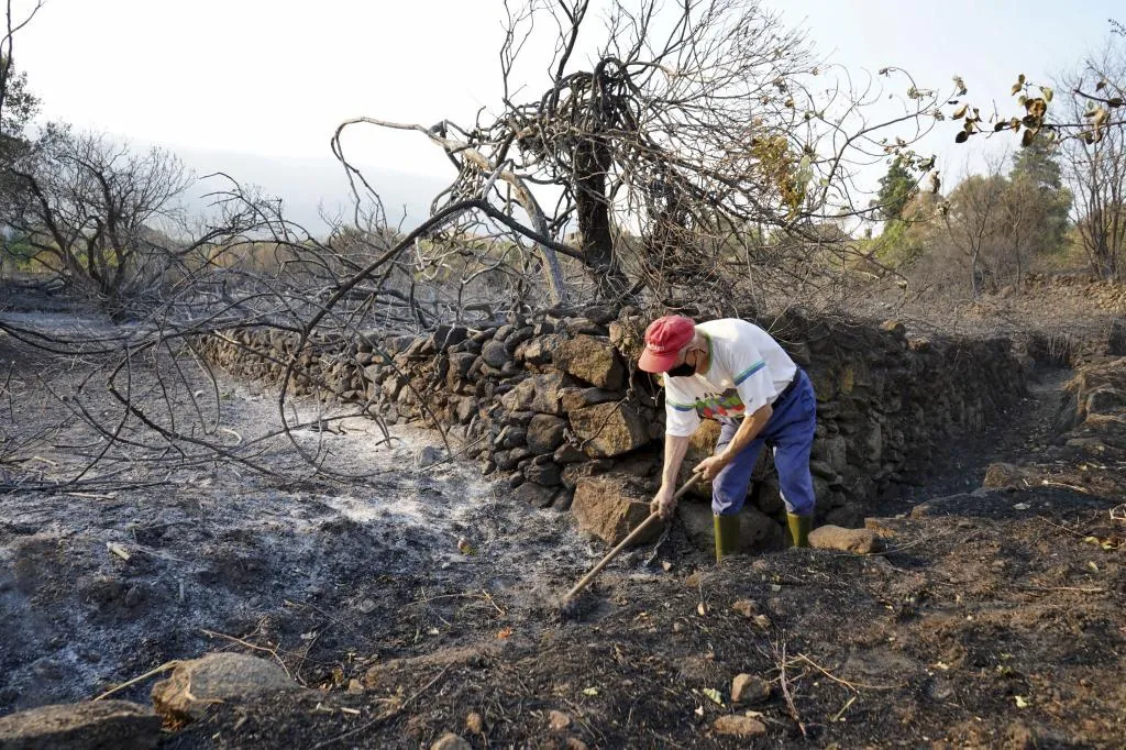Incendios graves hoy en España, última hora en directo | El fuego que amenazó los Picos de Europa sigue muy activo y con mucho perímetro por controlar