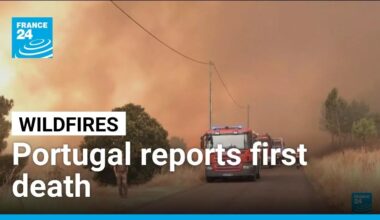 Portugal, Spain battle wildfires • FRANCE 24 English