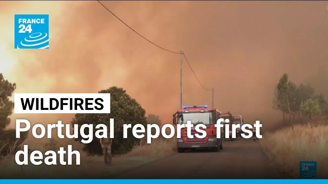 Portugal, Spain battle wildfires • FRANCE 24 English