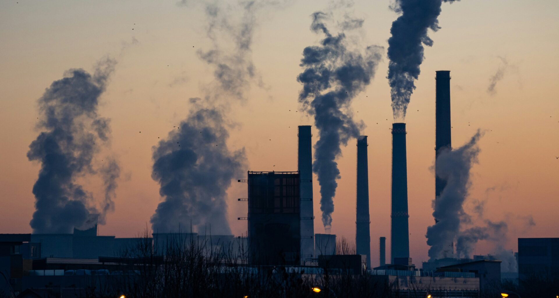 UK dismantles key green protections as post-Brexit rules diverge from EU standards