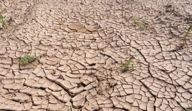 ANM: Verile vor fi tot mai călduroase, iar seceta se va accentua în sud și est