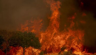 Incendios graves hoy en España, última hora en directo | Desalojan Igüeña (León) tras declararse un nuevo fuego que presenta indicios de ser intencionado