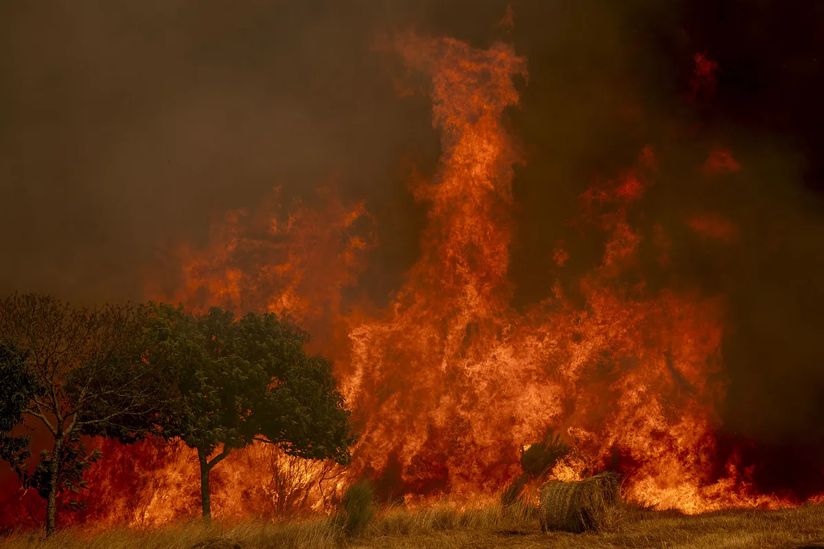 Incendios graves hoy en España, última hora en directo | Desalojan Igüeña (León) tras declararse un nuevo fuego que presenta indicios de ser intencionado
