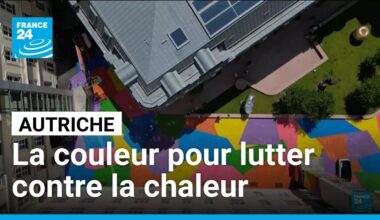 Pour lutter contre la chaleur, un musée mise sur la couleur en Autriche • FRANCE 24