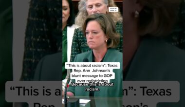 'This is about racism': Texas Rep. Ann Johnson's blunt message to GOP over redistricting