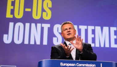 EU secures lower US car tariffs in new trade deal, but fails to protect wine