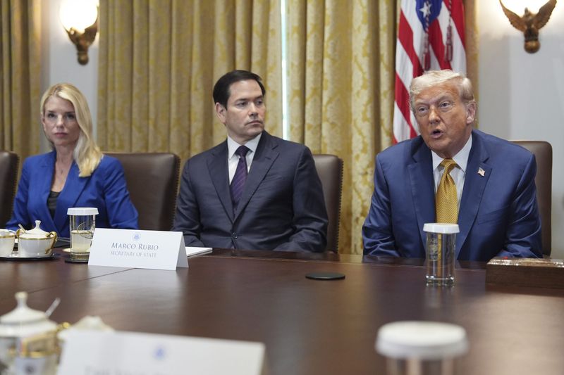 No New US Worker Visas for Truck Drivers, Trump Admin Reviewing 55 Million Visas for Violations