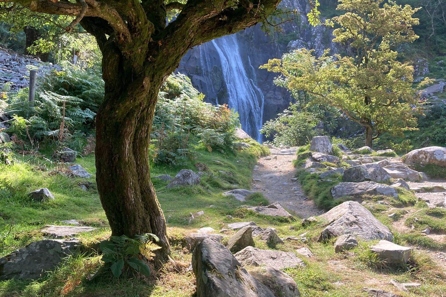Rhaeadr Fawr (Aber Falls)