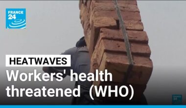 Workers' health threatened by heatwaves, WHO claims • FRANCE 24 English