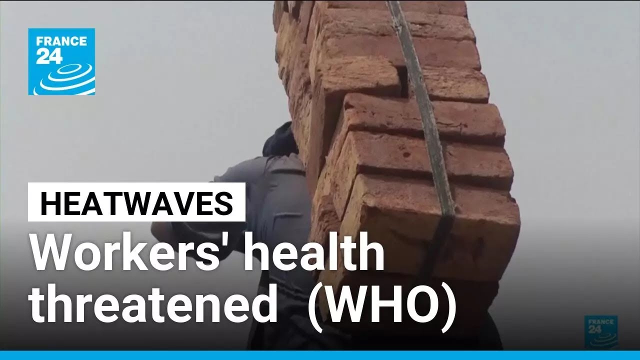 Workers' health threatened by heatwaves, WHO claims • FRANCE 24 English