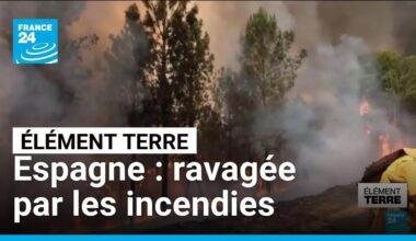 Incendies en Espagne : une année noire pour le pays • FRANCE 24