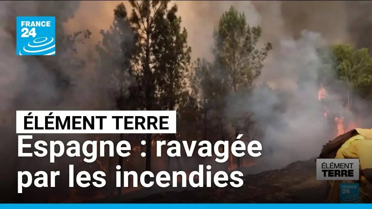 Incendies en Espagne : une année noire pour le pays • FRANCE 24