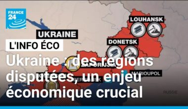 Les territoires ukrainiens revendiqués par la Russie, un enjeu économique majeur • FRANCE 24