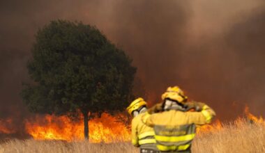 Incendios forestales en España, en directo hoy: focos activos y última hora en Castilla y León, Galicia y Extremadura - La Razón