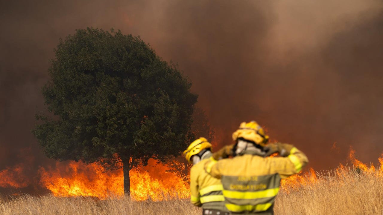 Incendios forestales en España, en directo hoy: focos activos y última hora en Castilla y León, Galicia y Extremadura - La Razón
