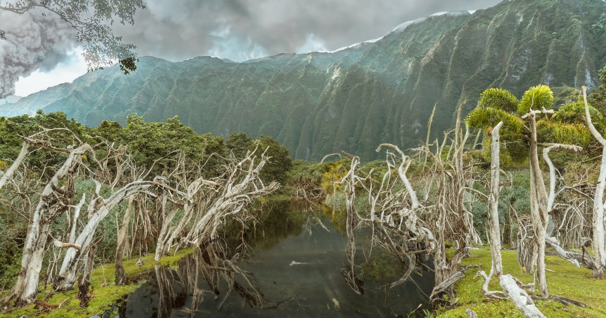 What The World's Most Famous Attractions Will Look Like In 2050