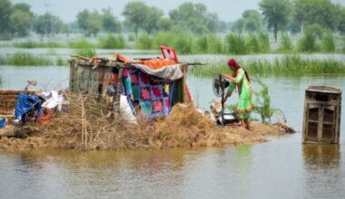 Pakistan: Over 120 dead in Punjab as torrential rains, floods wreak havoc
