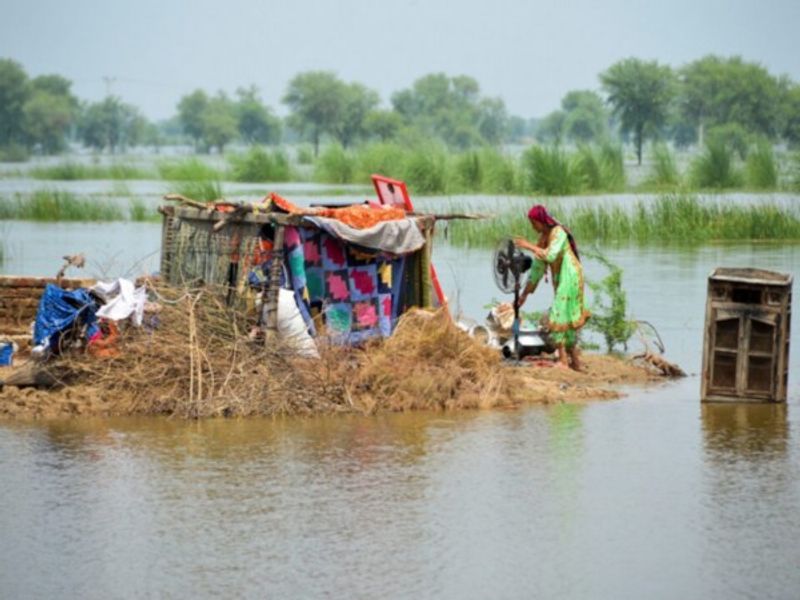 Pakistan: Over 120 dead in Punjab as torrential rains, floods wreak havoc