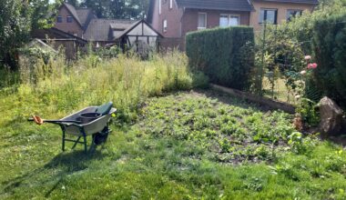 Unkraut in den Griff kriegen