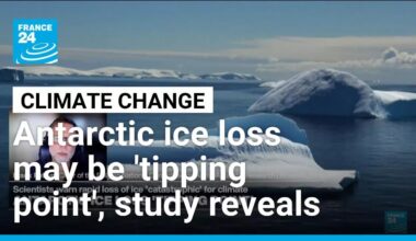 What happens in the Antarctic doesn't stay in the Antarctic, ice-sheet modeller says • FRANCE 24