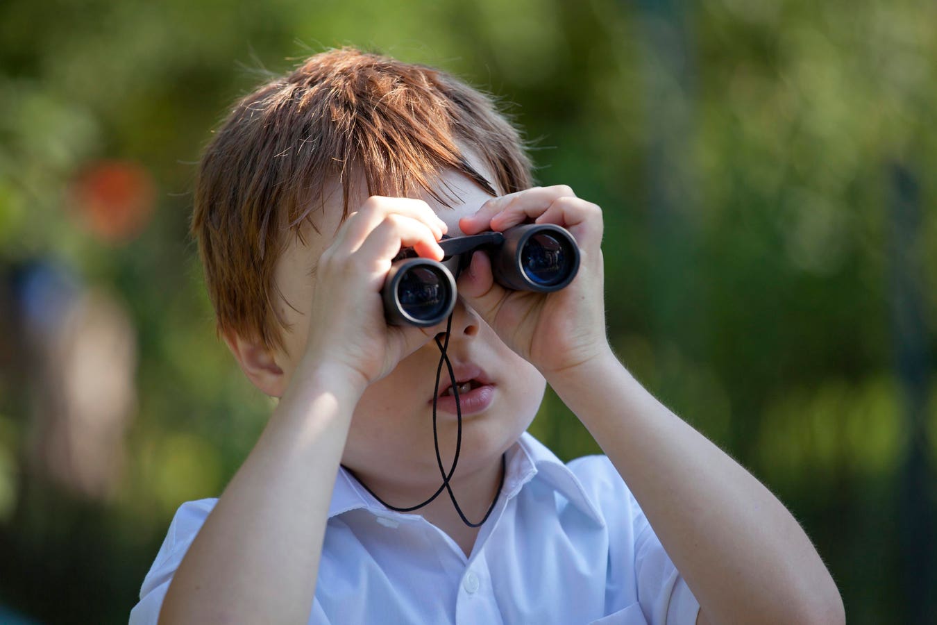 OpenSearch Looks To Deeper Hybrid Analytics