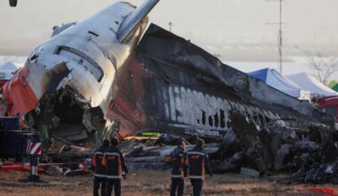 Tourism, global warming leading to more bird strikes in Japan
