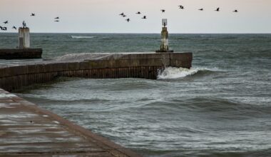 Japan turns to seawater to generate power with new osmotic energy plant
